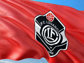 比赛局势复杂引发热议！C罗在瑞士队比赛中表现优异引发球迷热议